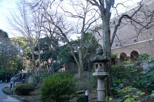 20180111120807_NIKON D7100.jpg